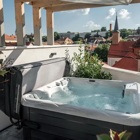 Loftlakasom**** 4* Veszprem